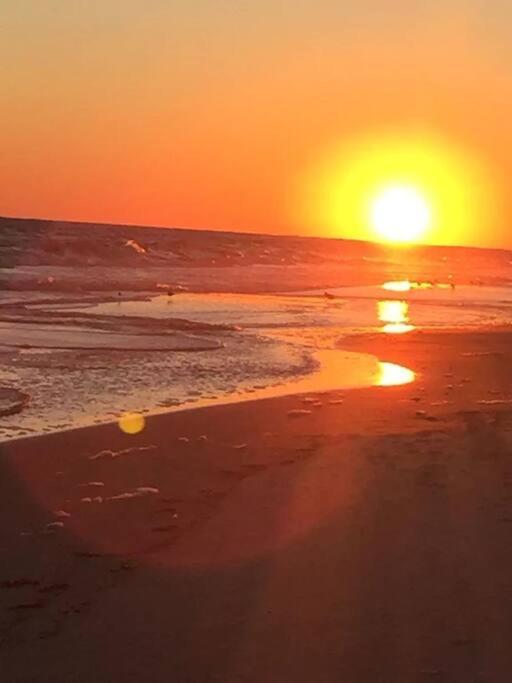 Living The Dream 2 Bedroom Ocean View Cozy Condo Gulf Shores Eksteriør bilde